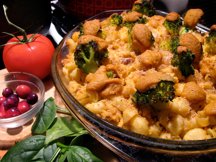 maccheezforest_6646_700