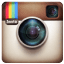 Follow The Lotus and the Artichoke on  Instagram